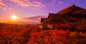 京都　紅葉　写真