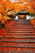 京都の紅葉　安楽寺