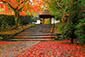 安楽寺　散り紅葉