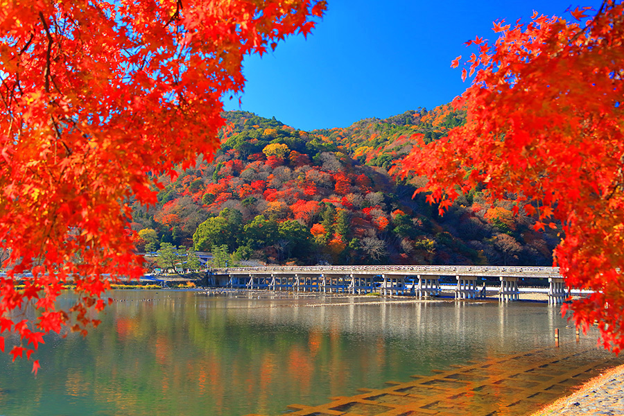 観光 嵐山