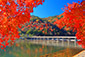 嵐山の紅葉　高画質写真