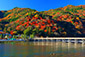 嵐山　渡月橋　紅葉　京都　写真家　カメラマン