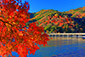 京都　嵐山　紅葉　もみじ　見頃　時期