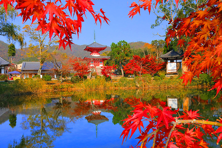 大 覚寺