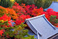 圓光寺の紅葉写真