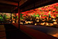 京都　圓徳院　紅葉　ライトアップ