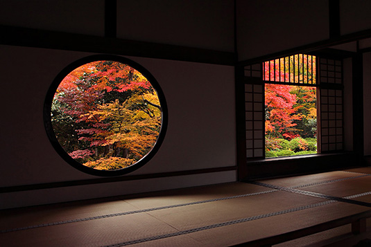 �������@�g�t�@����