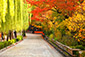祇園白川　紅葉　高画質画像