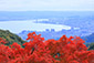 比叡山の紅葉