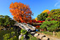 東本願寺の飛び地境内　渉成園　紅葉