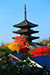 京都　八坂の塔　秋