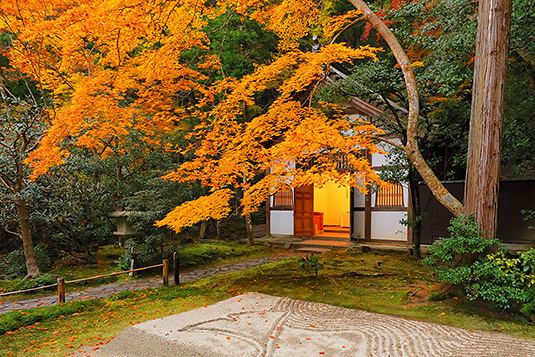 �@�R�@�g�t