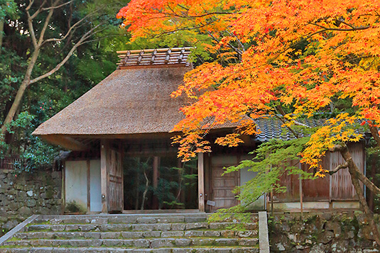 �@�R�@�@�g�t�@���s