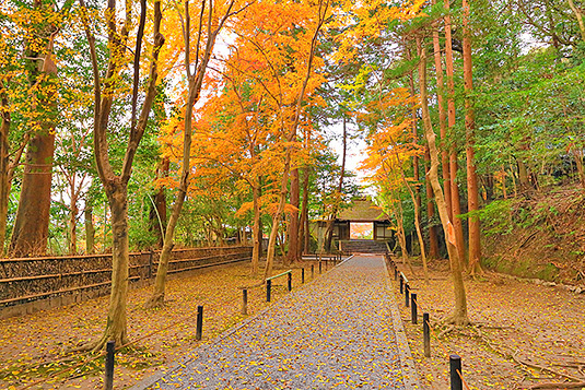 ���s�@�@�R�@�@�H