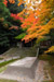 京都　法然院　写真