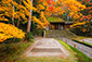 京都　法然院　紅葉