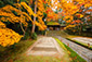 京都　絶景　法然院の紅葉