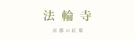 �@�֎��@�g�t