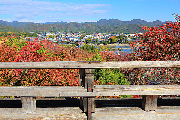 �@�֎��@�g�t�@�ʐ^