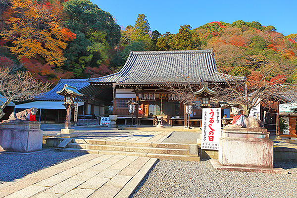 �@�֎��@�g�t�@�摜