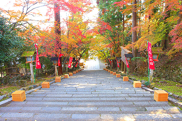 �@�֎��̍g�t