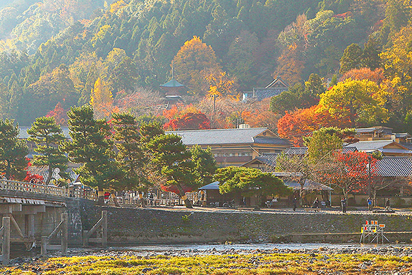 �@�֎��@�H�@�摜