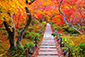 京都　嵐山　宝筐院　紅葉