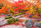 京都　嵐山　宝筐院　紅葉