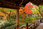 京都　嵐山　宝筐院　秋