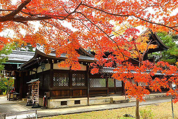 �V���g�_�{�g�t