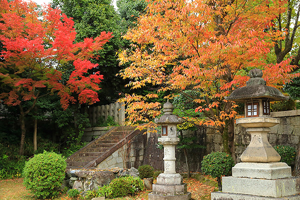 �V���g�_�{�@�H�@�ʐ^