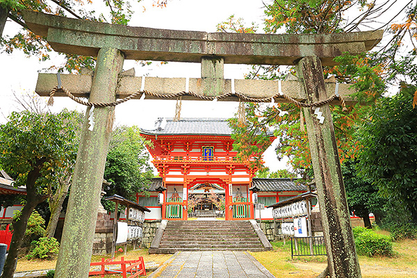 �V���g�_�{�@�摜