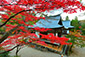京都　神護寺　紅葉　石段