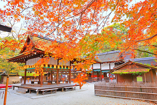 �͍��_�Ё@�g�t�@�摜