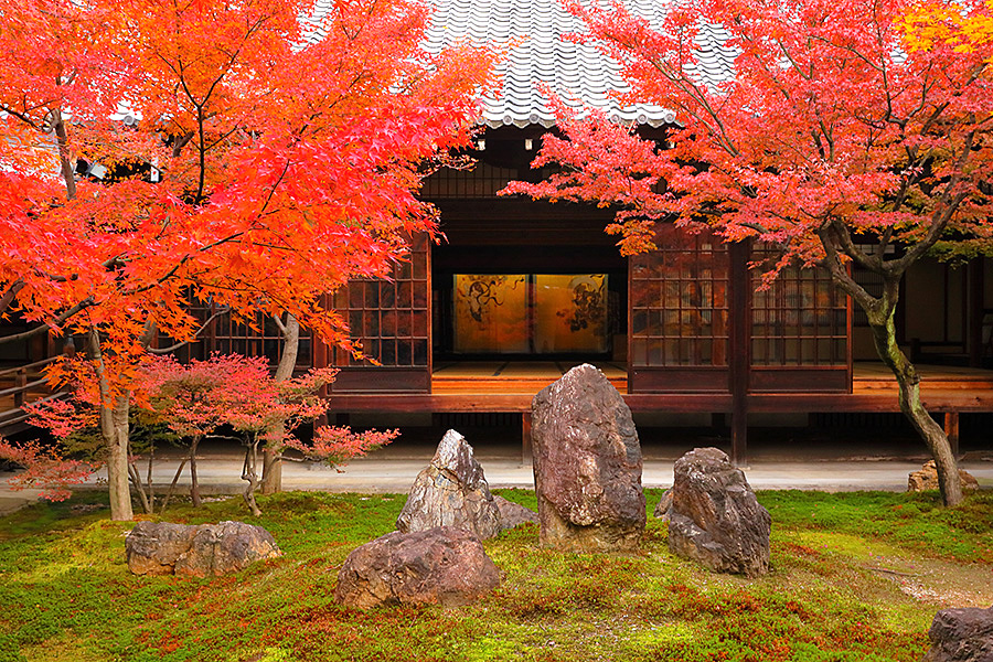 建仁寺 紅葉