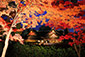 北野天満宮の紅葉　ライトアップ　高画質写真
