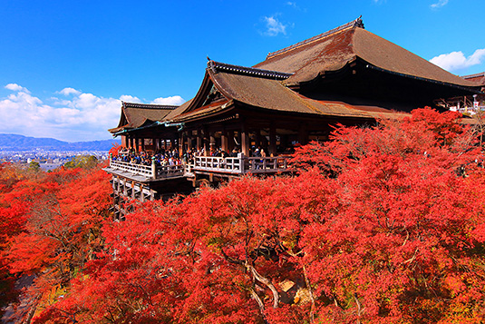 京都　清水寺　紅葉