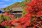 清水寺の紅葉　高画質写真