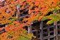 清水寺　懸造り　紅葉