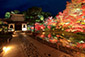 高台寺の秋　紅葉ライトアップ