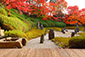 京都　絶景　光明院の紅葉