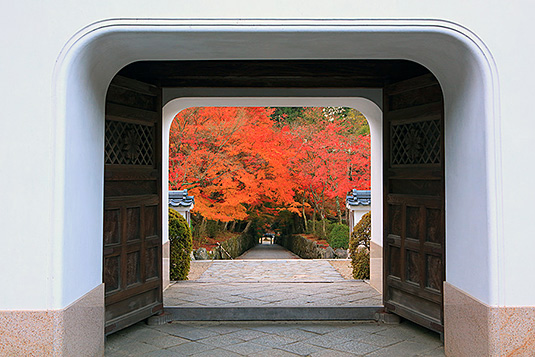 @gt@摜