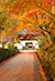 @gt@摜@傤