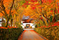 @gt@摜