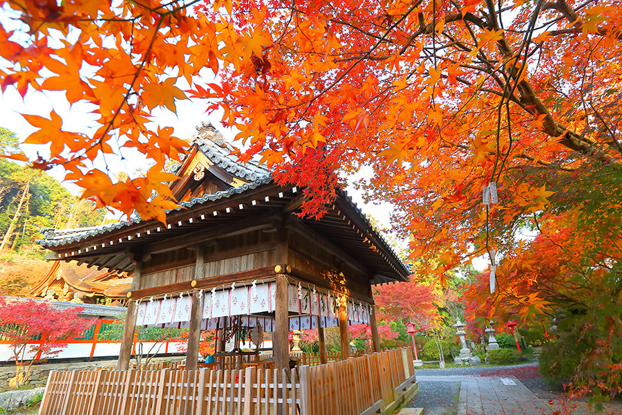 くわ やま 神社