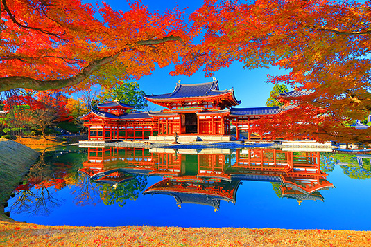 京都の紅葉　画像