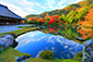 京都 紅葉 画像
