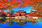 京都　紅葉　高画質画像