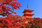 京都　紅葉　絶景　清水寺　高画質写真