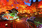 京都　紅葉　嵐山　宝厳院　ライトアップ